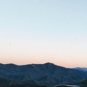 Meet your Posher, Dawn marie